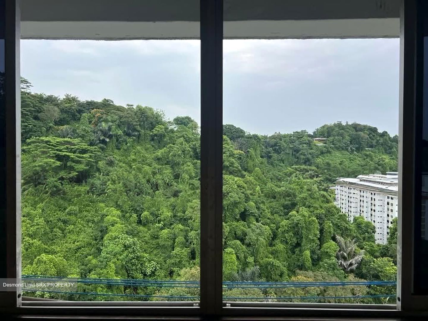 Blk 39 Telok Blangah Rise (Bukit Merah), HDB 5 Rooms #597086721